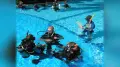 PADI Open Water Scuba Instructor (OWSI)