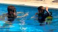 PADI Open Water Diver