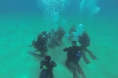EĞİTİM / PADI OPEN WATER DIVER