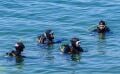 PADI Advanced Open Water Diver