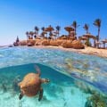 Sharm Dalış Turu 2026 | 5★ Otel + 6 Dalış