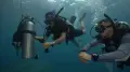 PADI Deep Diver