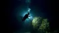 PADI Night Diver