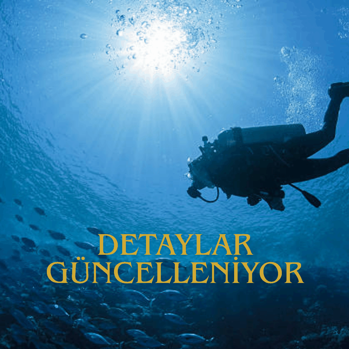 PADI Open Water Diver